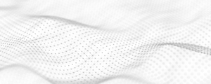 MCP NetSuite-14