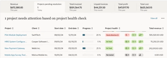 NetSuite Project Health Check